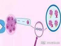 有子宫肌瘤做试管要吃补佳乐？试管移植有子宫肌瘤吃补佳乐？